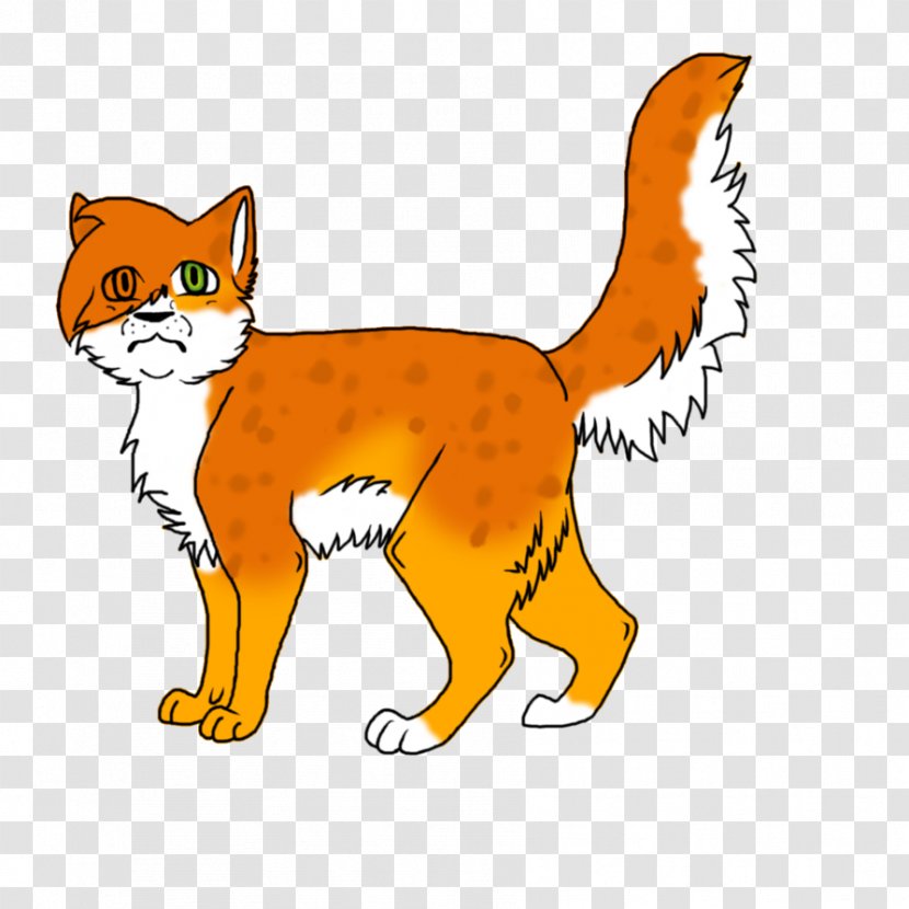 Whiskers Kitten Red Fox Wildcat - Vertebrate Transparent PNG