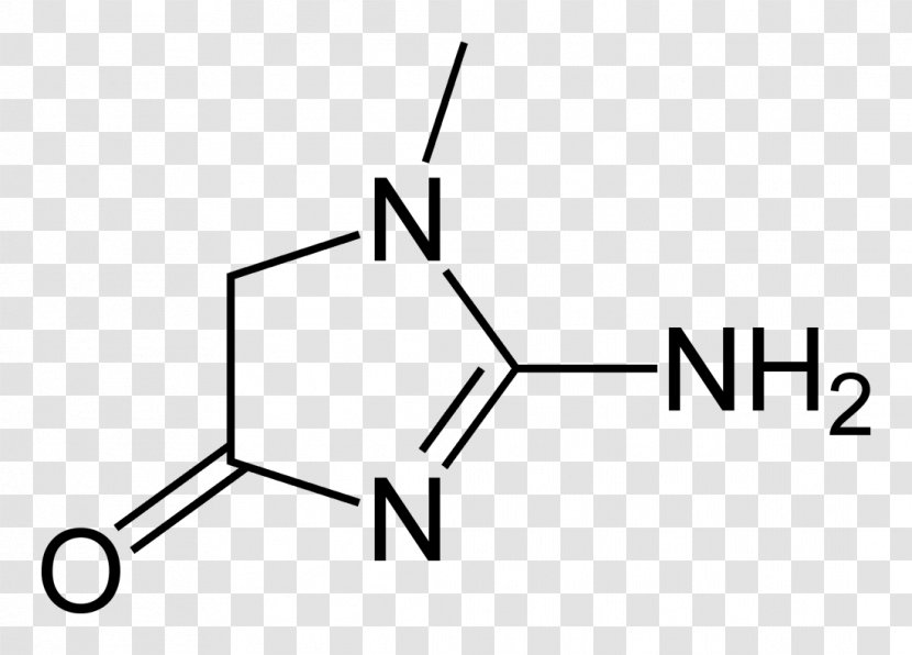 Amino Acid Chemical Compound Carboxylic Substance - Silhouette - Frame Transparent PNG