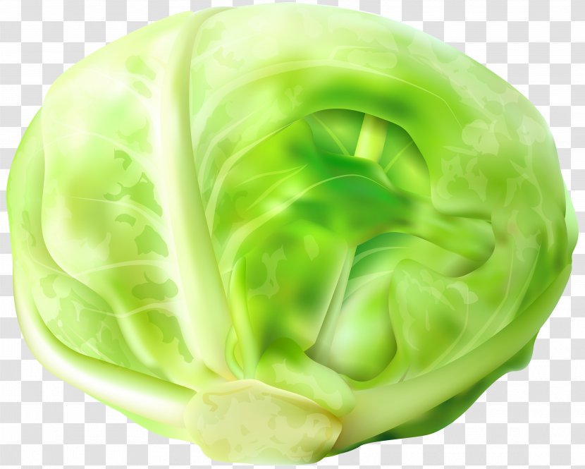 Chinese Cabbage Vegetable Napa Clip Art - Green Transparent PNG