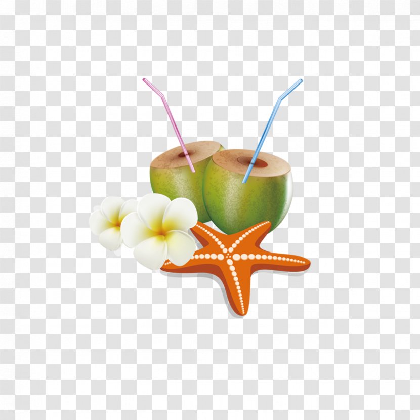 Coconut Milk - Stock Photography - Cartoon Transparent PNG