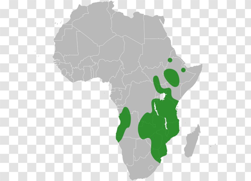 Member States Of The African Union Southern Development Community Customs - Continental Free Trade Agreement - Africa Transparent PNG