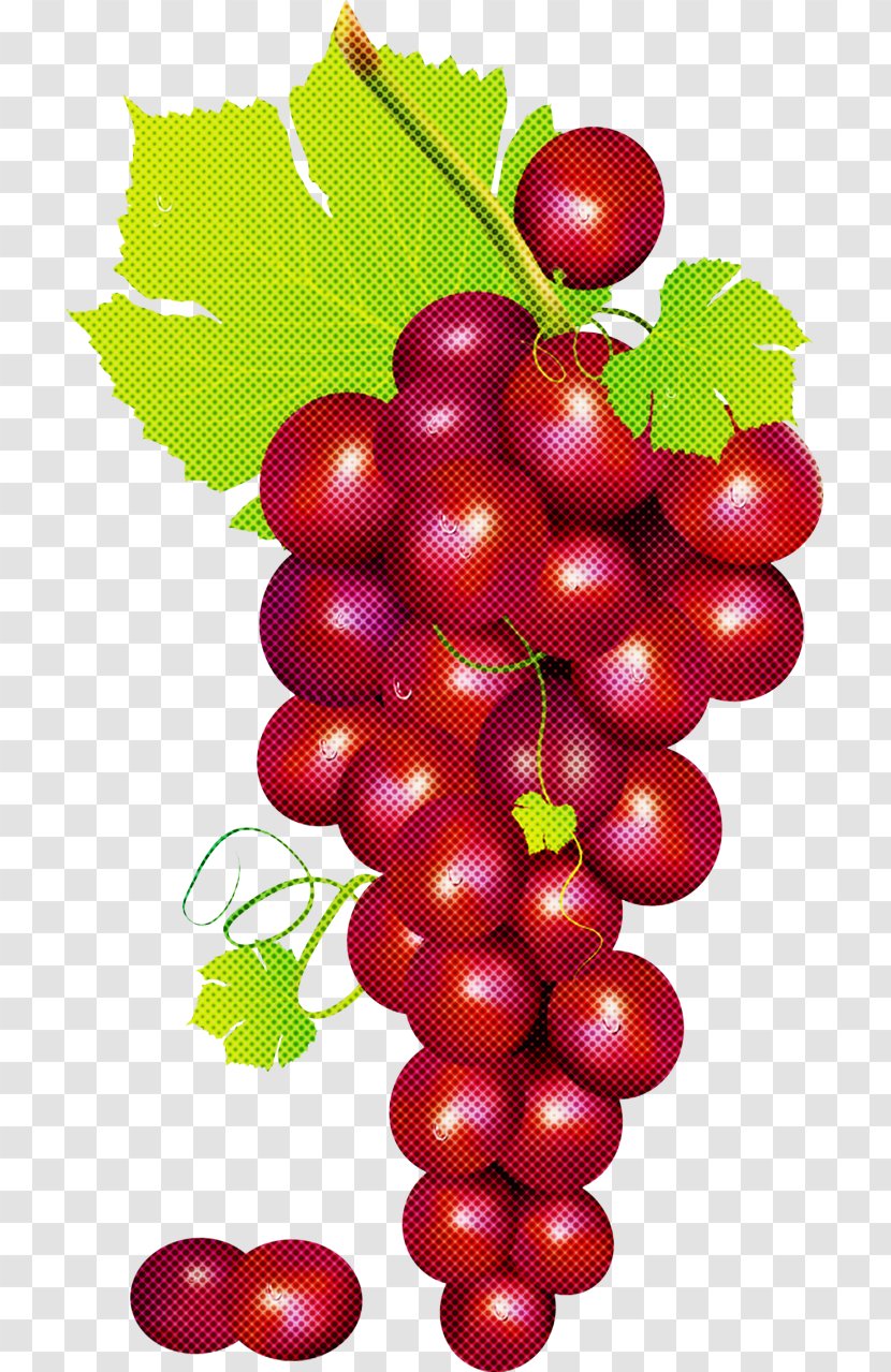 Grape Seedless Fruit Plant Grapevine Family - Currant Natural Foods Transparent PNG