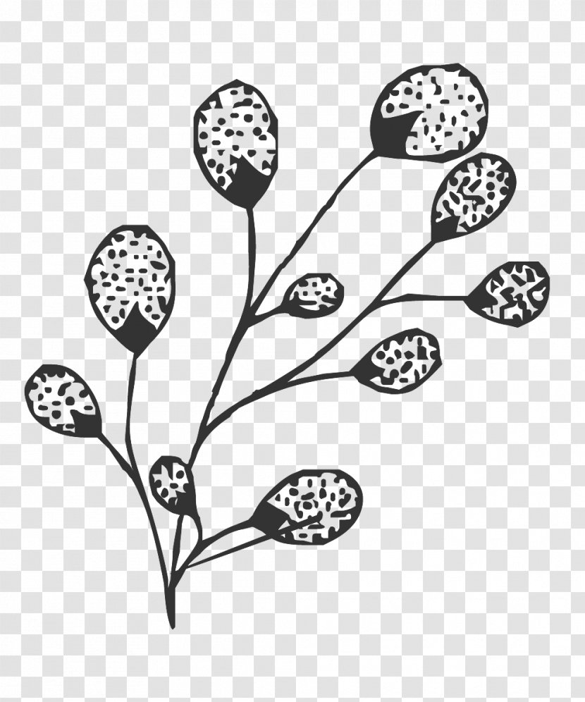 Floral Line Art. - Flora - Black And White Transparent PNG