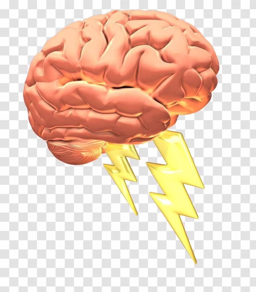 Rawlinson Brainstorming Creativity Creative Thinking And - Flower - Brain Transparent PNG