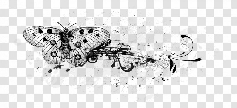 Butterfly Line Art Drawing - Jewellery Transparent PNG