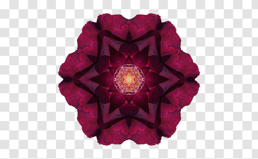 Flower Mandala Rhododendron Ponticum Roseum - Acting Out - Flowers Of Hell Transparent PNG