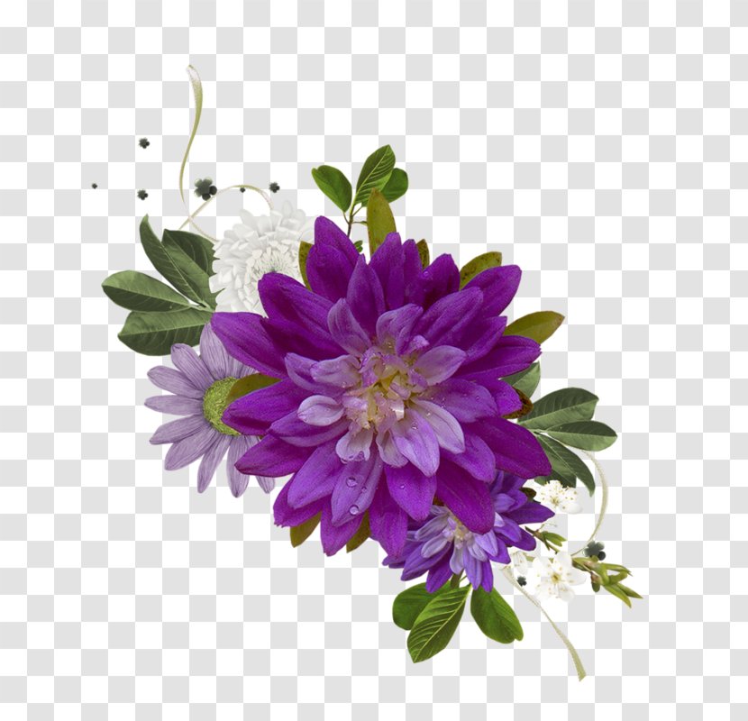 Cut Flowers Floral Design - Chrysanthemum - Flower Transparent PNG