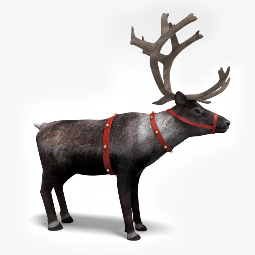 Santa Claus's Reindeer Clip Art - Claus Transparent PNG
