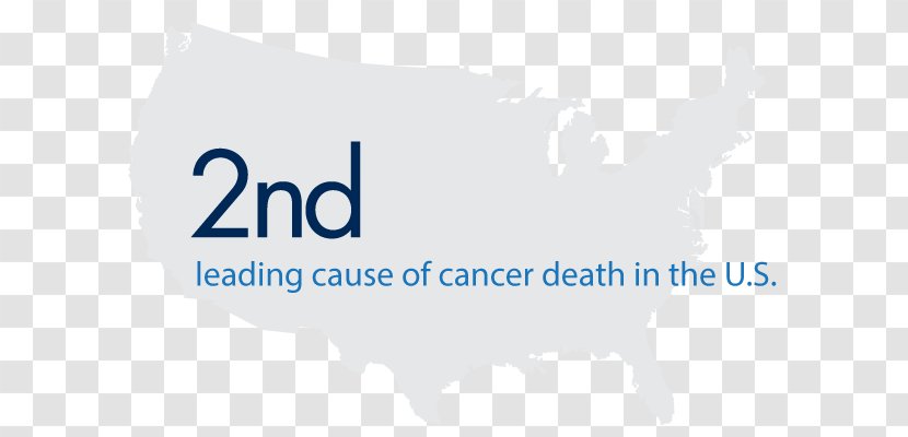 Logo Product Design Brand Font - Blue - Colon Cancer Transparent PNG