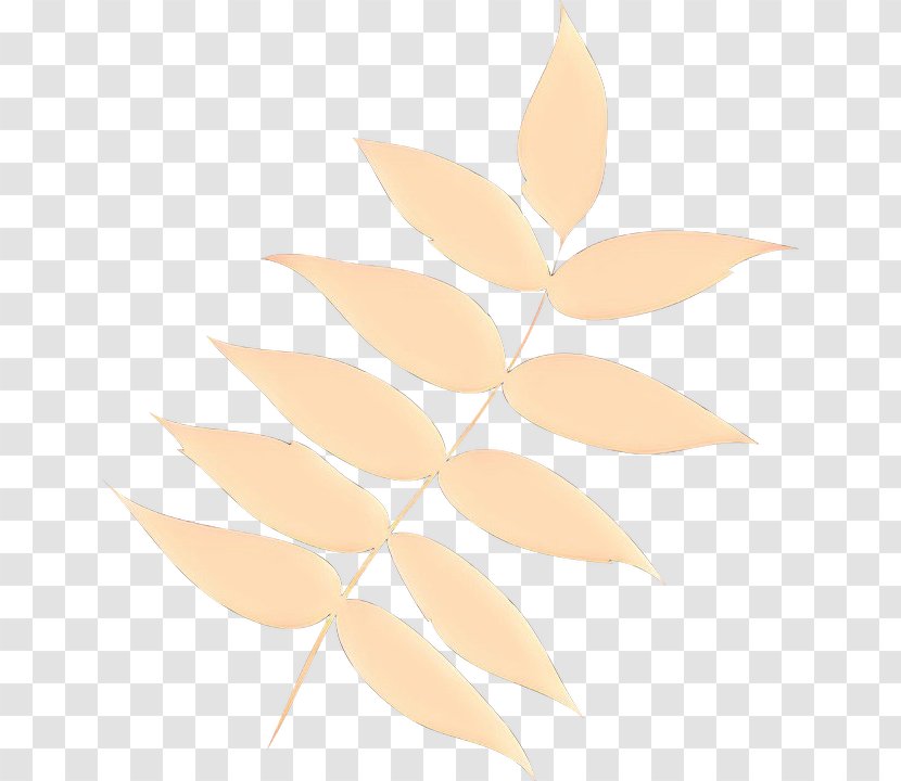 Leaf Plant Beige Clip Art Flower - Cartoon Transparent PNG