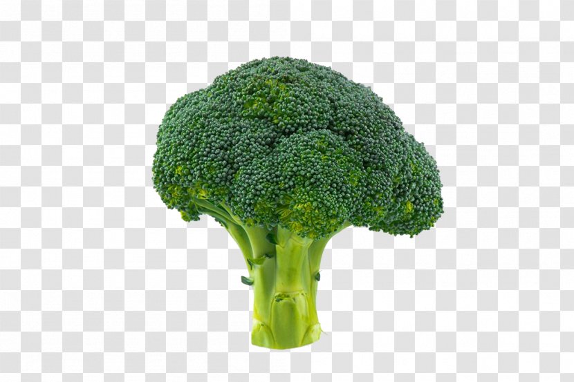 Broccoli Vegetable Cauliflower Transparent PNG