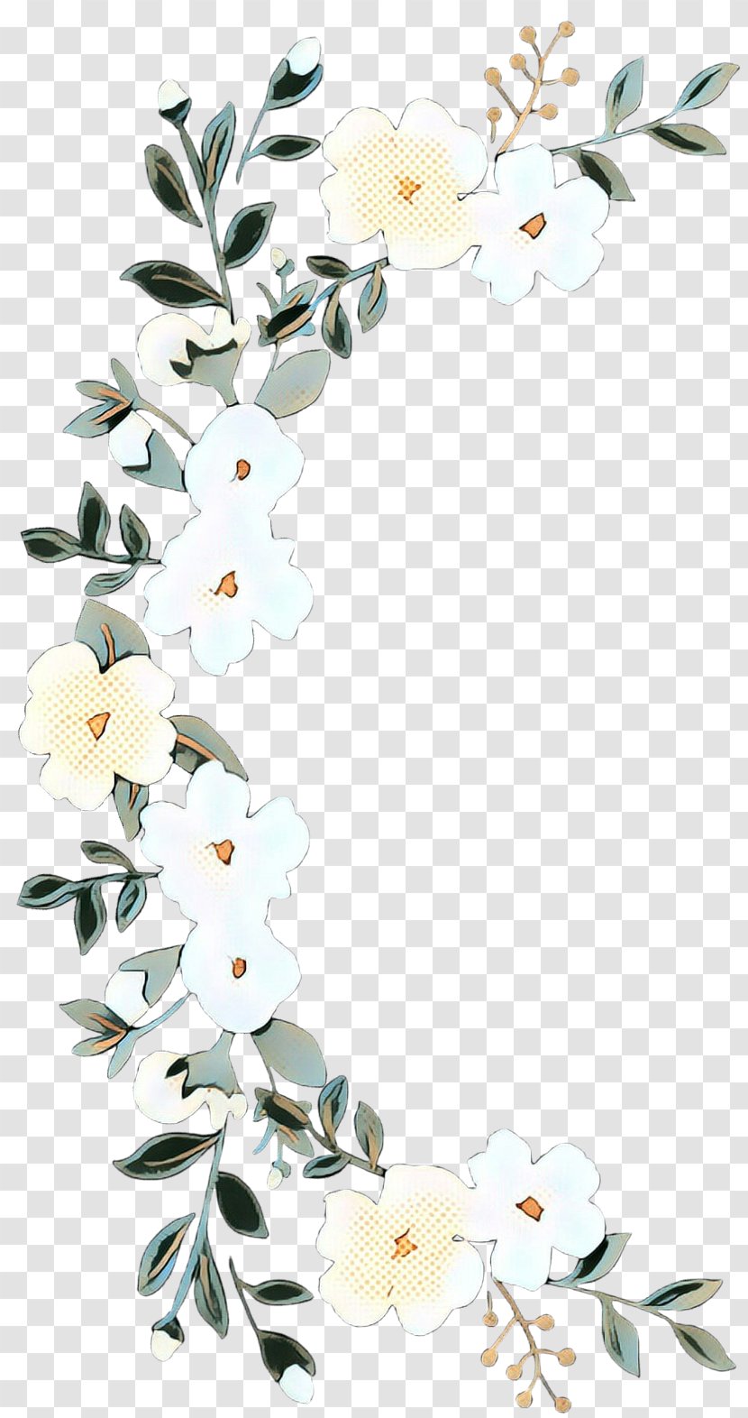 Floral Flower Background - Design - Moth Orchid Magnolia Transparent PNG