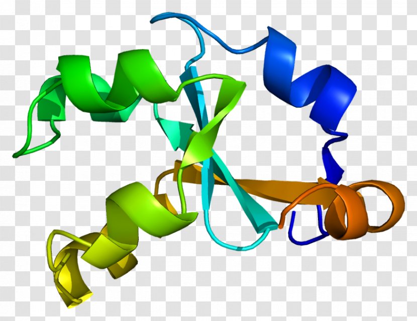 Cytochrome B5 Reductase B5, Type A Methemoglobin - Heart - Watercolor Transparent PNG