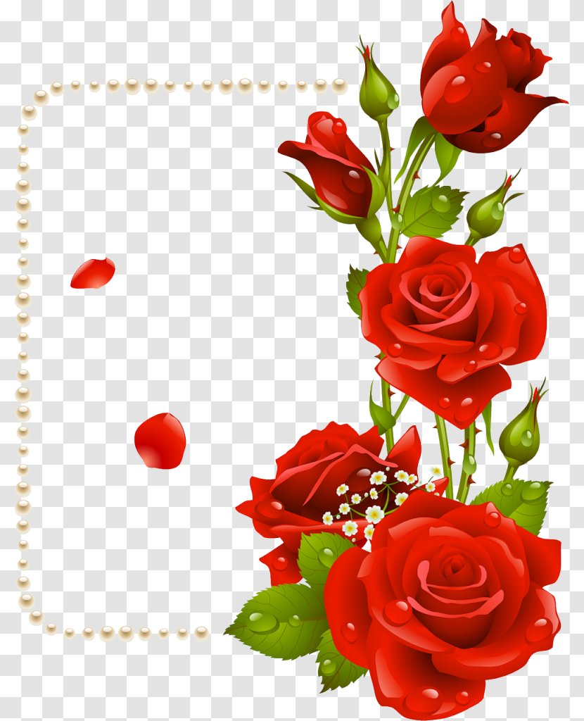 Rose Flower Clip Art - Flowering Plant - Red Border Transparent PNG