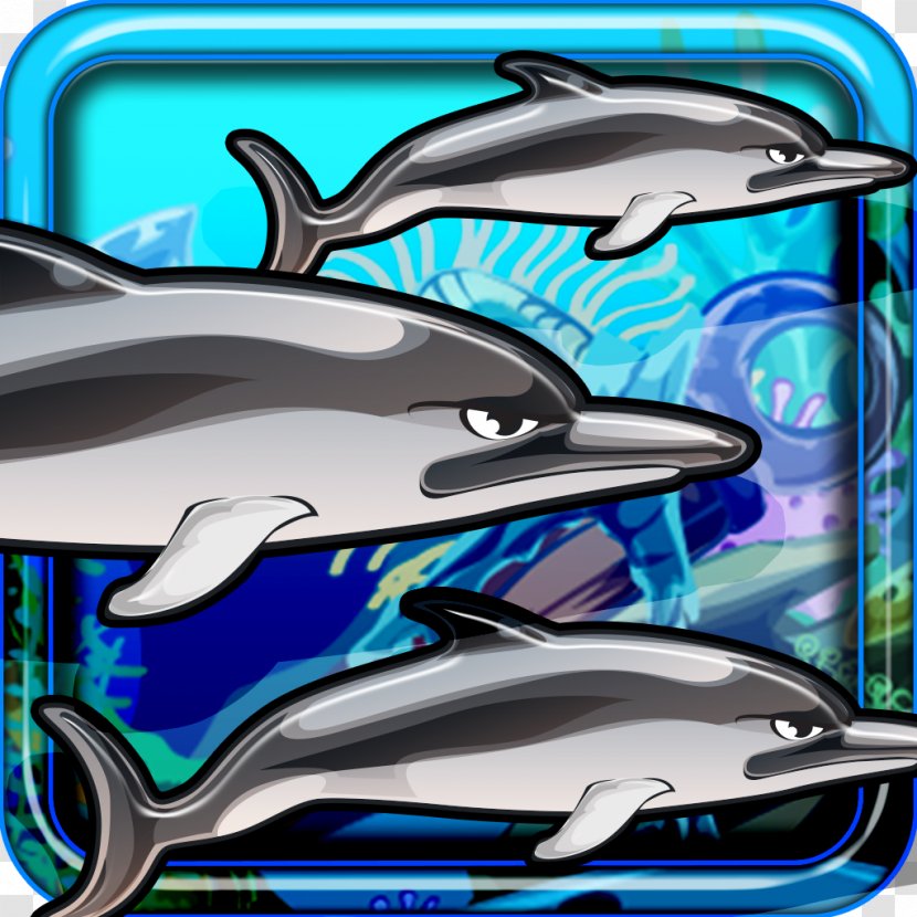 Common Bottlenose Dolphin Wholphin Marine Mammal Cetacea - Whale - Flippers Transparent PNG