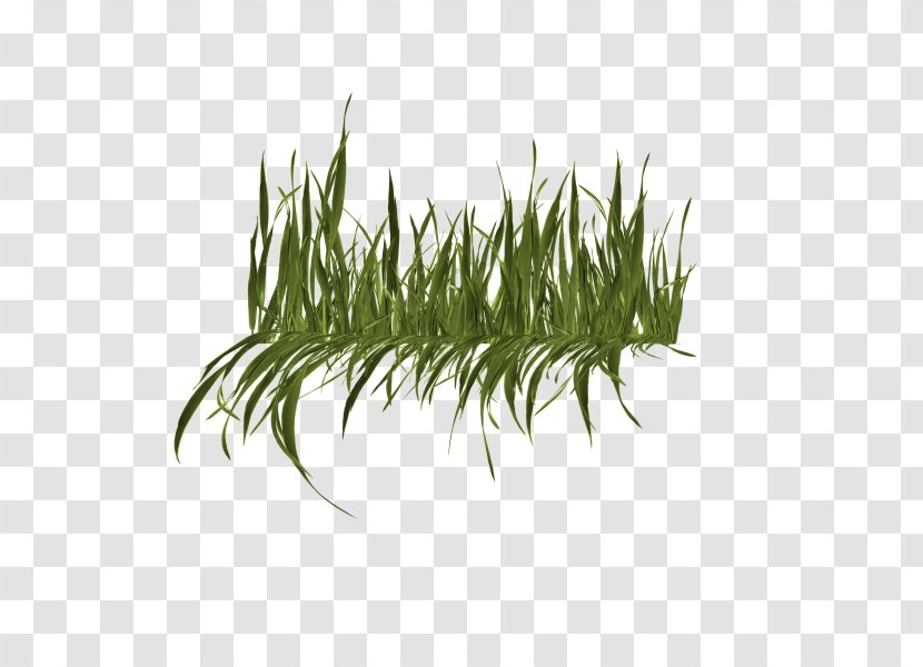 Clip Art - Sweet Grass - Group Transparent PNG