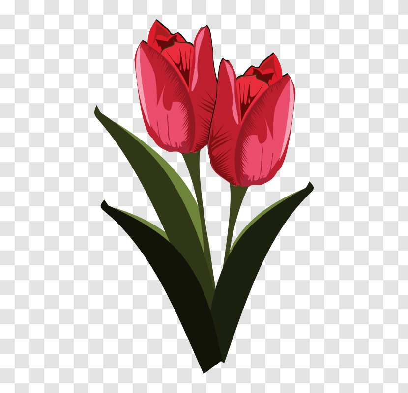 Tulip Flower Clip Art - Heart - Tulips Transparent PNG