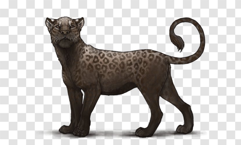 Cat Lion Clip Art - Puma Transparent PNG