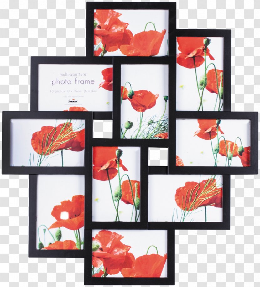 Picture Frames Photography Plastic - White - Rectangle Transparent PNG