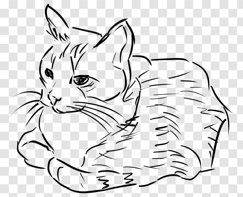 Cat Line Art Drawing Clip - Like Mammal Transparent PNG