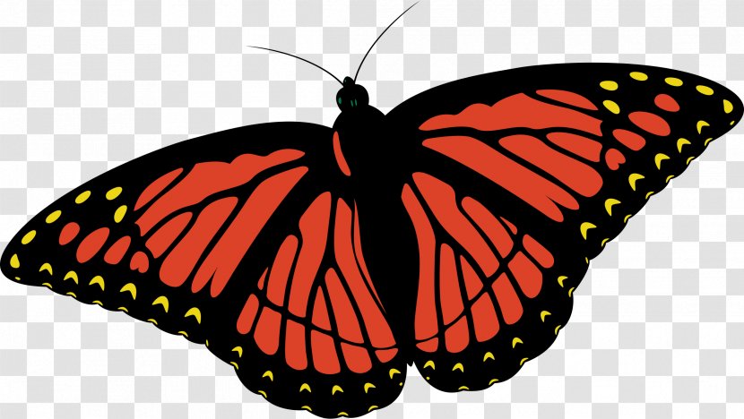 Monarch Butterfly Clip Art - Flower Transparent PNG