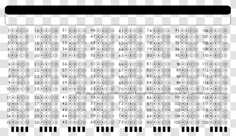 Document Line Pattern - Area - Design Transparent PNG