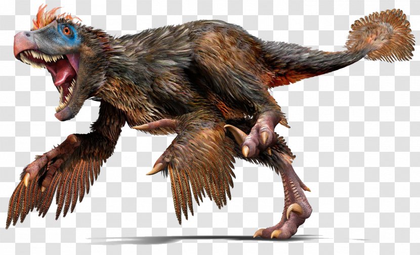 Velociraptor Bird Tyrannosaurus Dinosaur Feather - Deinonychus Transparent PNG