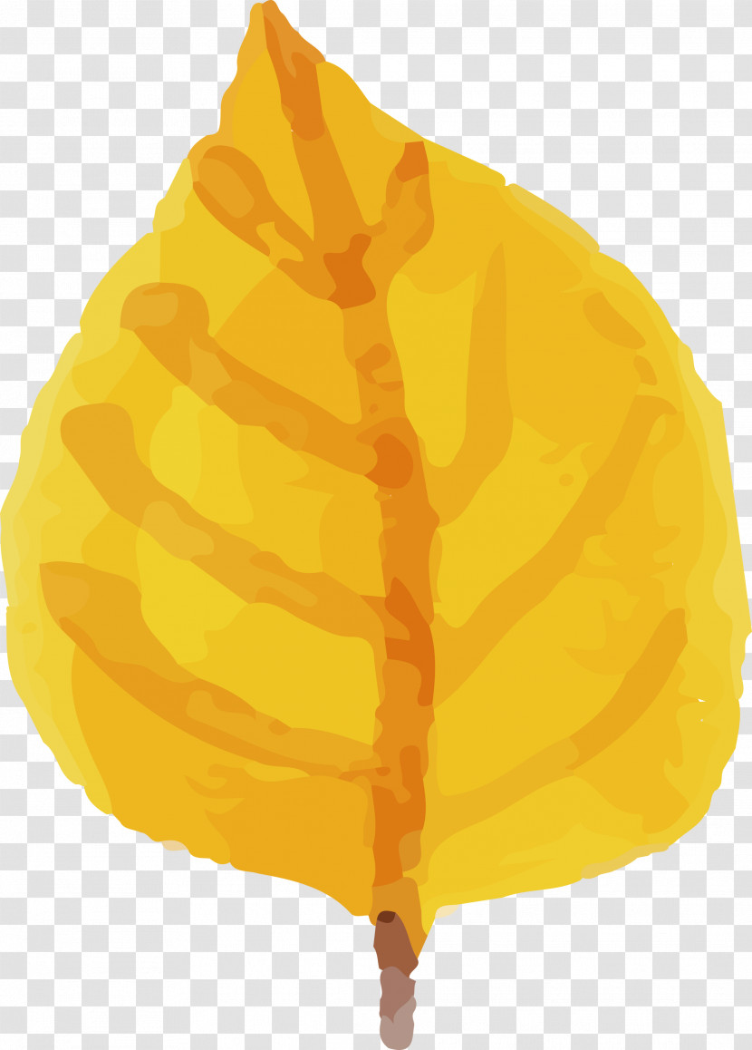 Yellow Transparent PNG