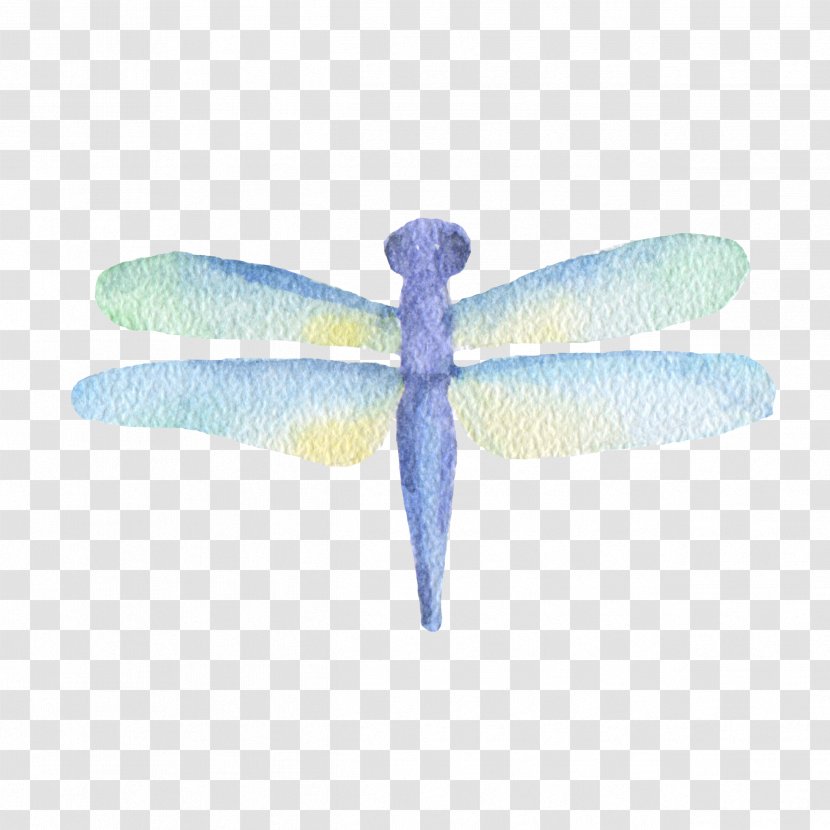Insect Dragonfly Watercolor Painting - Wing Transparent PNG