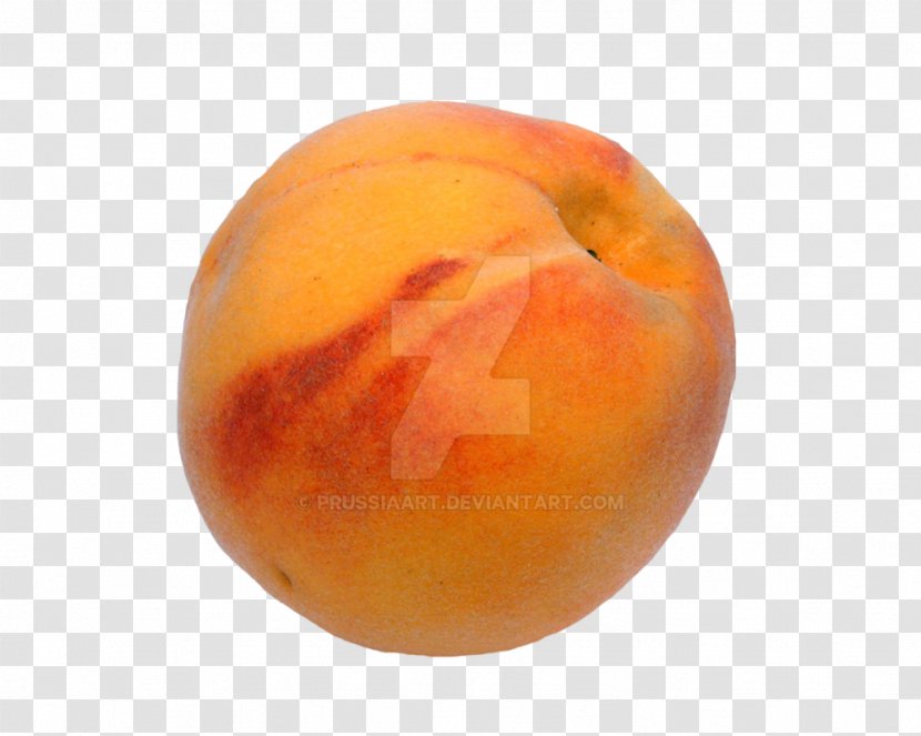 Peach Desktop Wallpaper Clip Art - Apricot - Fruit Transparent PNG
