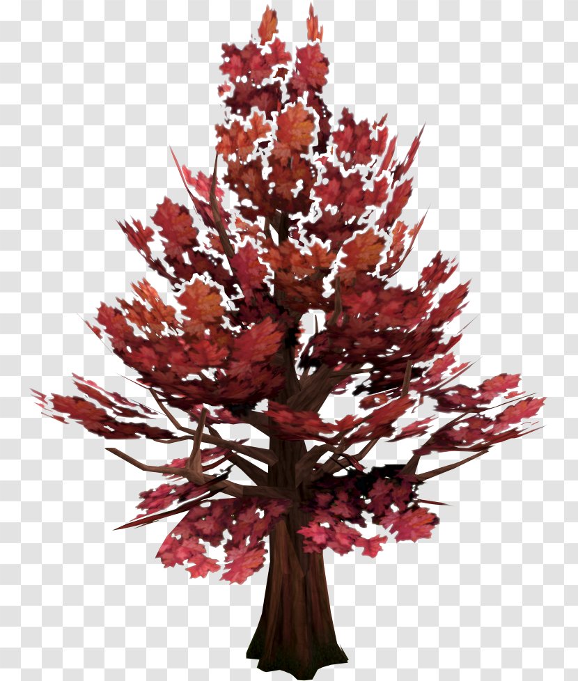 Old School RuneScape Tree Woody Plant Red Maple - English Yew - Arboles Transparent PNG