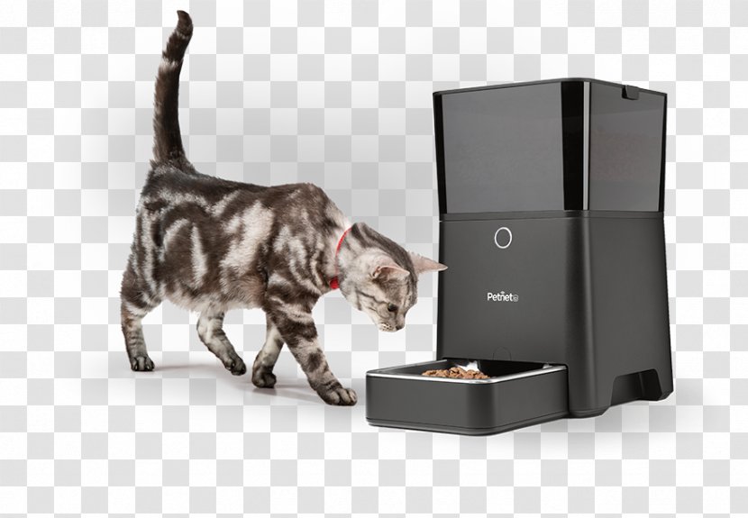 Cat Food Dog Pet Eating Transparent PNG