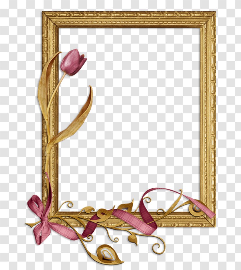 Picture Frames Image Photography Drawing - Eyewitness Background Transparent PNG