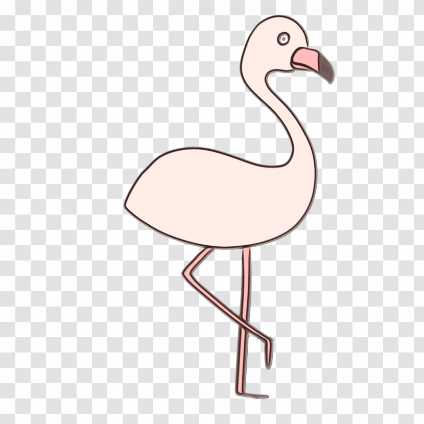 Flamingo Transparent PNG