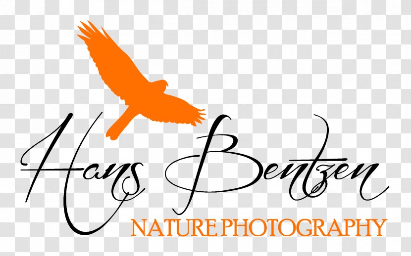 Wildlife Photography Nature Photographer Logo - Wing - Day Transparent PNG