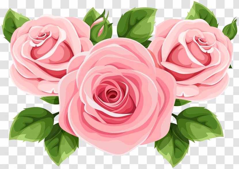 Garden Roses Clip Art Tattoo - Plant Transparent PNG