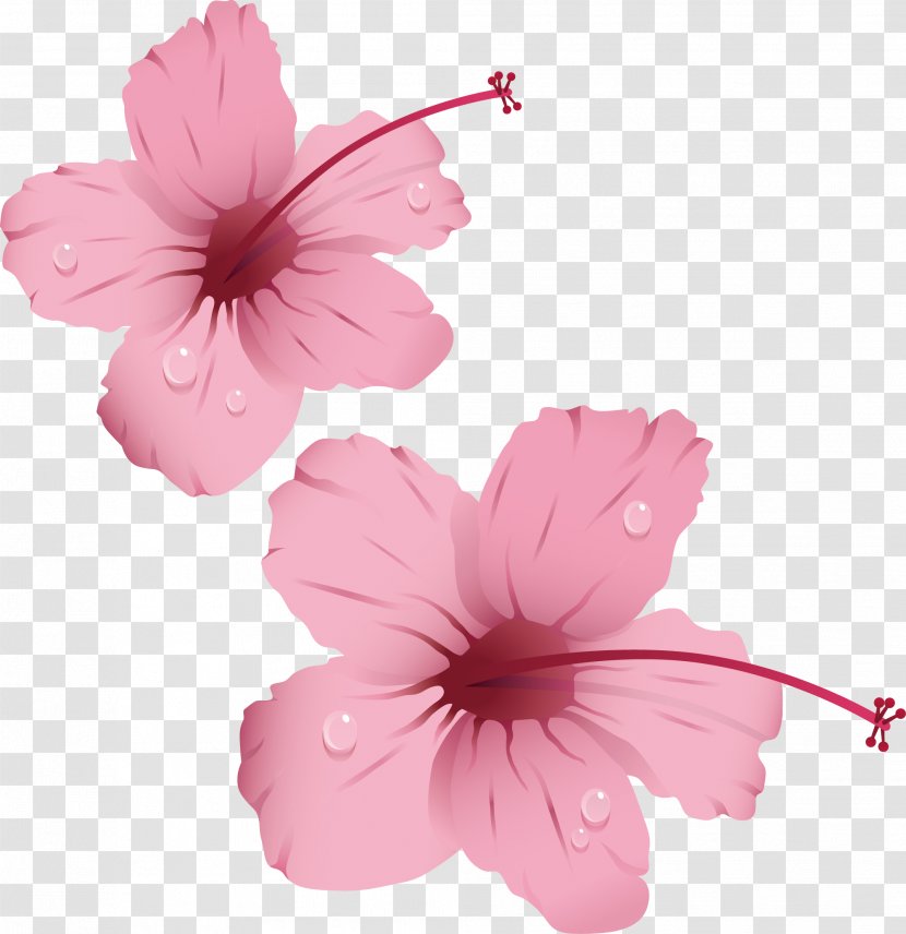 Pink Flowers Rose Clip Art - Plant - With Water Droplets Transparent PNG