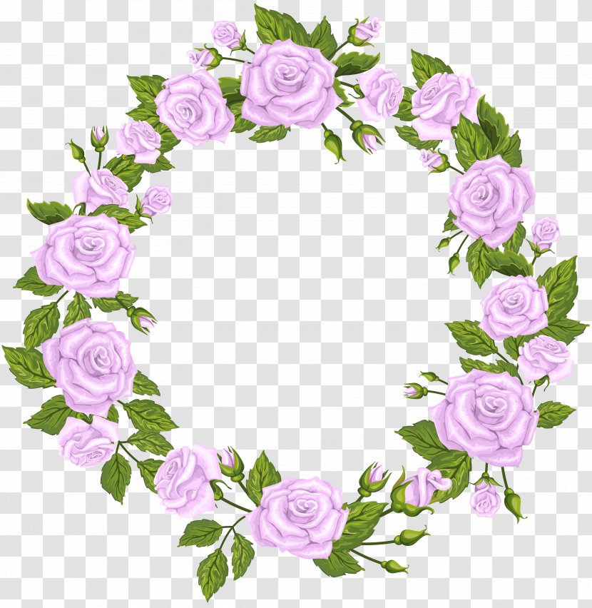 Clip Art - Rose Family - Roses Border Violet Transparent PNG