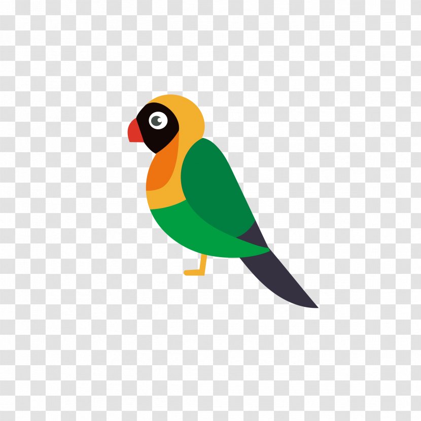 Bird Parrot - Lovebird - Multicolored Transparent PNG
