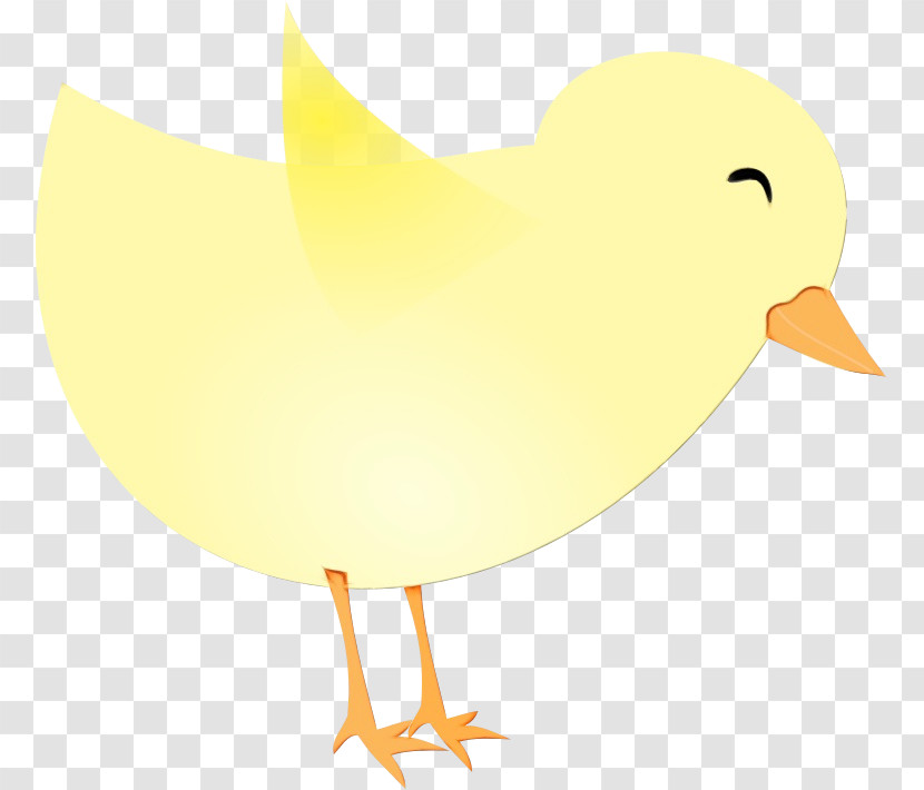 Bird Yellow Beak Chicken Water Bird Transparent PNG