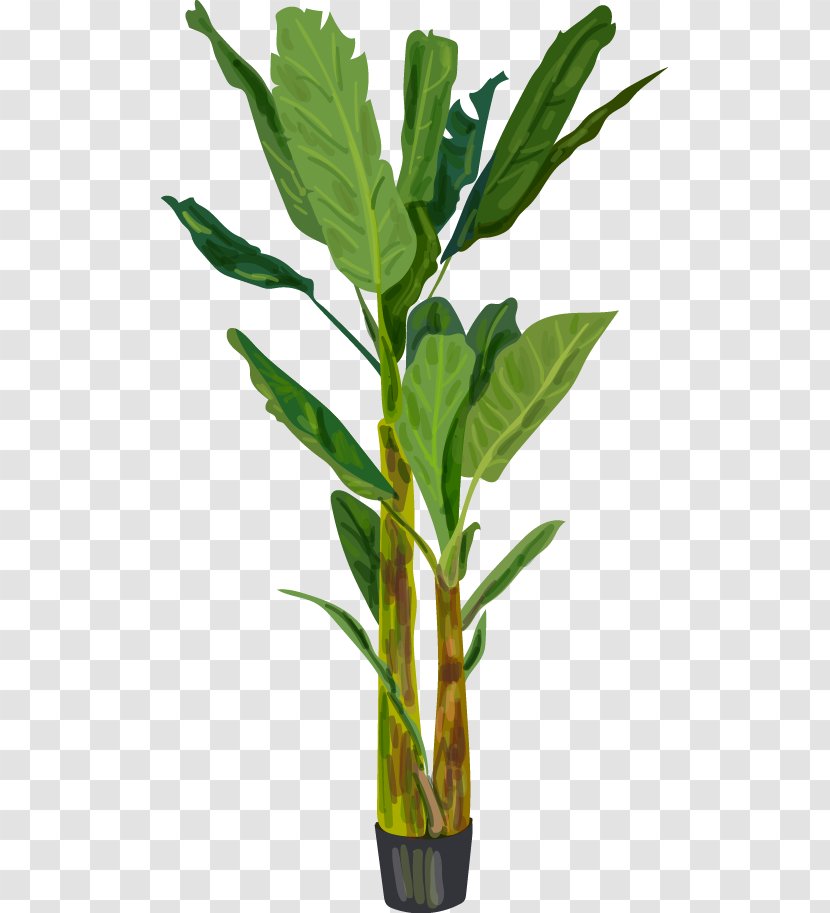 Banana Leaf Download Clip Art - Flowerpot - Green Decorative Elements Transparent PNG
