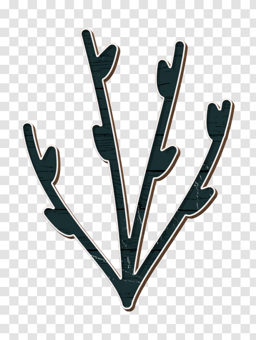 Flower Icon - Plant Transparent PNG