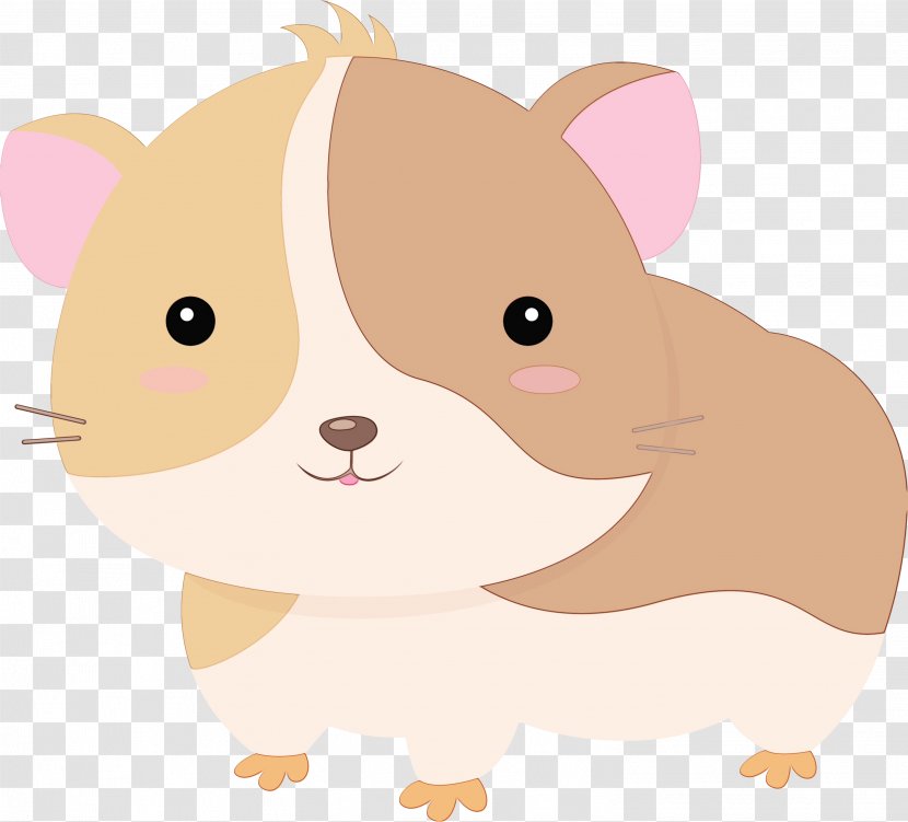 Hamster - Muroidea - Rat Transparent PNG