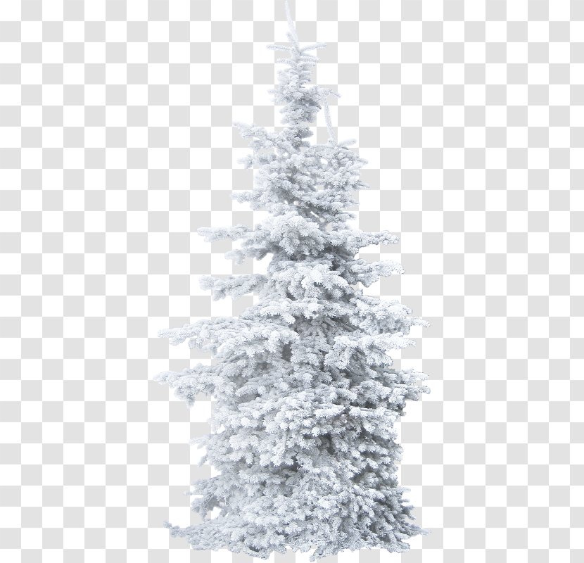 Christmas Tree Clip Art - Woody Plant Transparent PNG