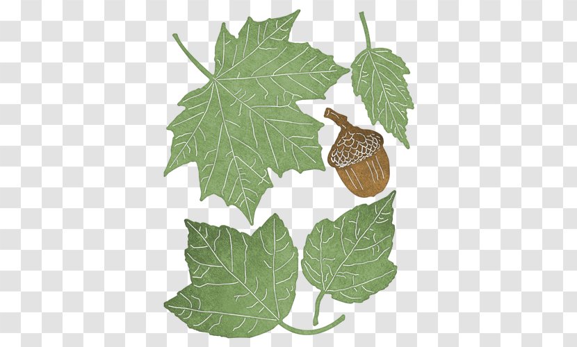 Leaf Grape Leaves Cheery Lynn Designs Grapevines Die Transparent PNG