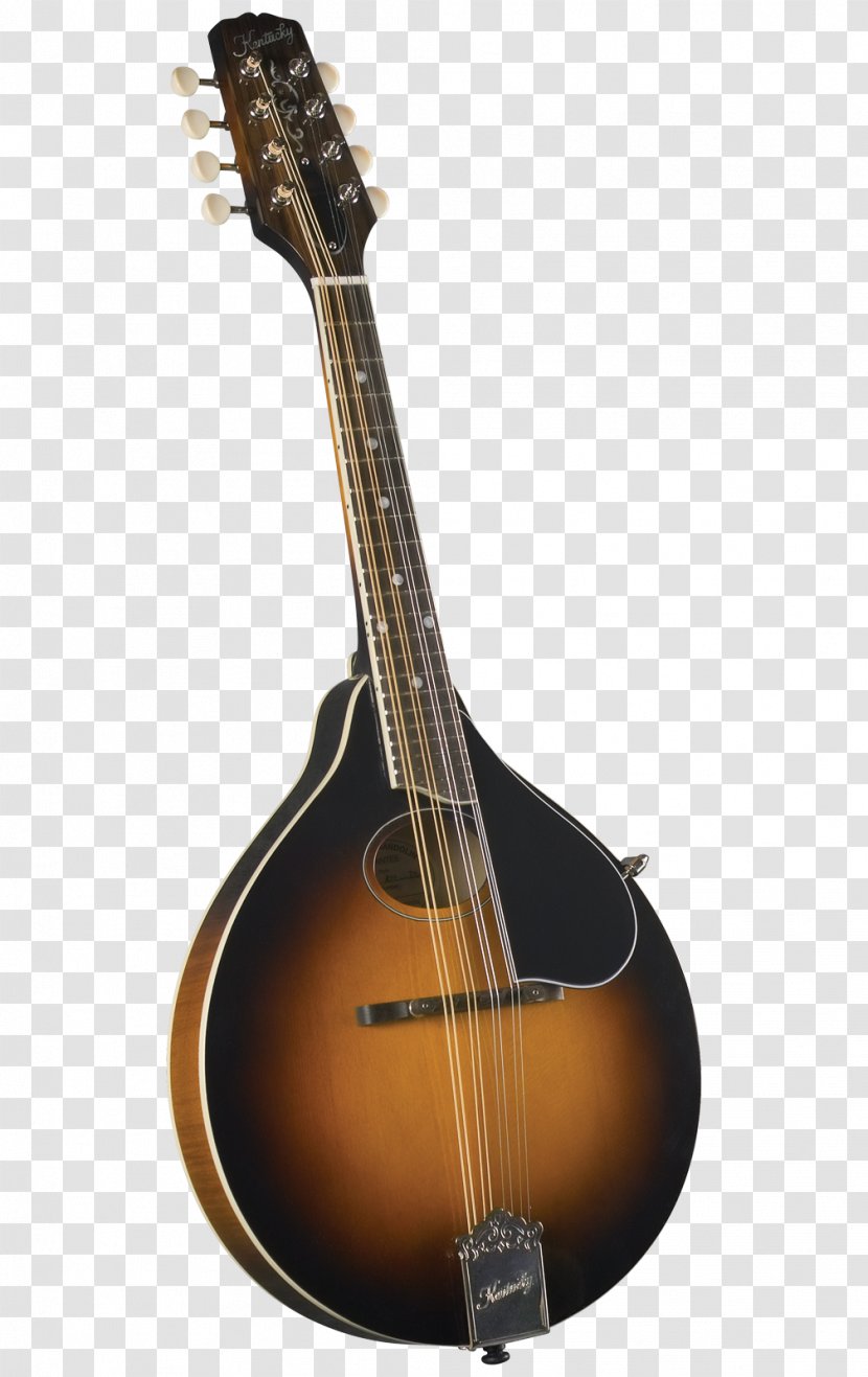 Kentucky Mandolin Ukulele Musical Instruments Bluegrass - Flower - Sitar Transparent PNG
