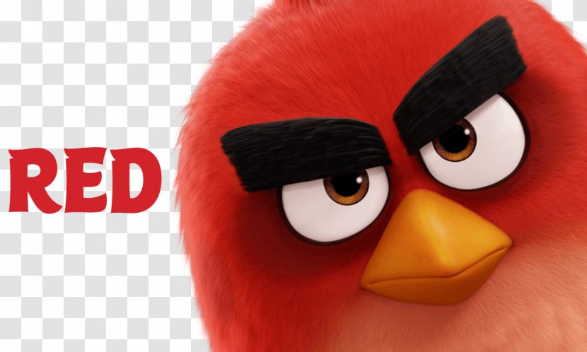 Angry Birds 2 Film Desktop Wallpaper - Jason Sudeikis Transparent PNG