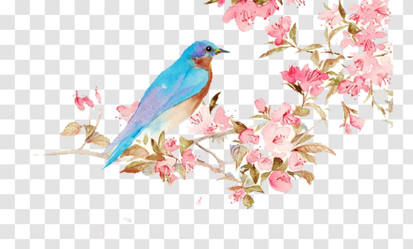 Blue Bird - Illustration - Flower Transparent PNG