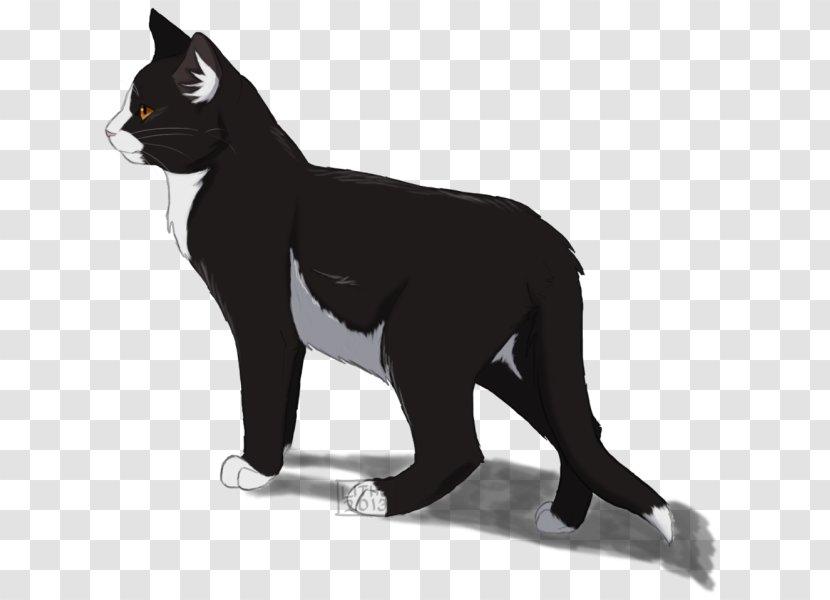 Warriors Tallstar Erin Hunter Cat Onestar Transparent PNG