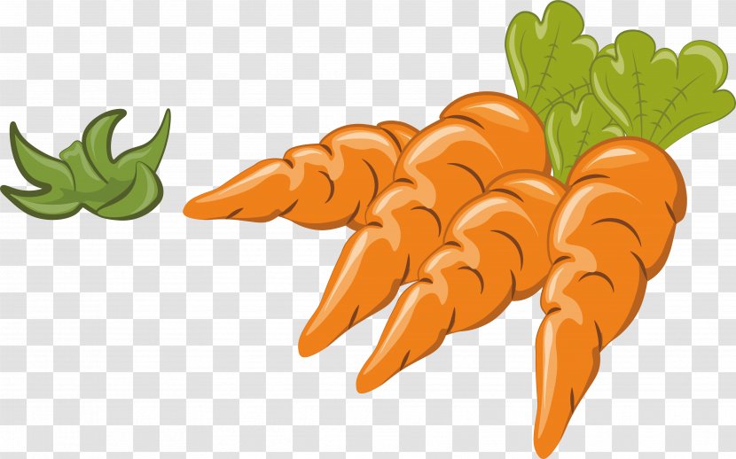 Carrot Vegetable Illustration - Four Carrots Transparent PNG